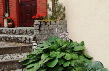 BAJA Gospodarstwo Agroturystyczne - Foto 8