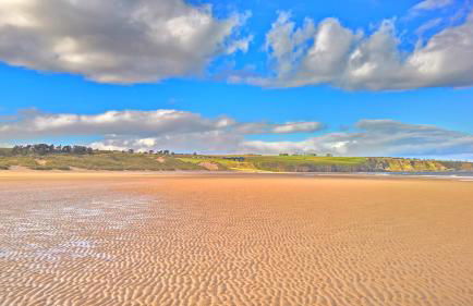 The Wee Anchor - Photo 23