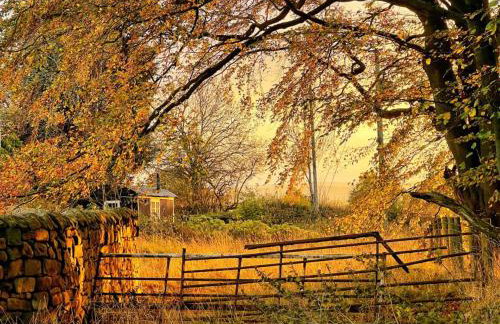 Cosy romantic shepherd hut in open countryside - Foto 15