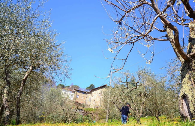 Belvilla by OYO Brama Sole - Foto 26