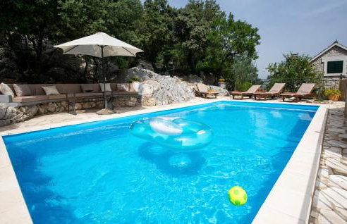 Rural house Janjić - Foto 13