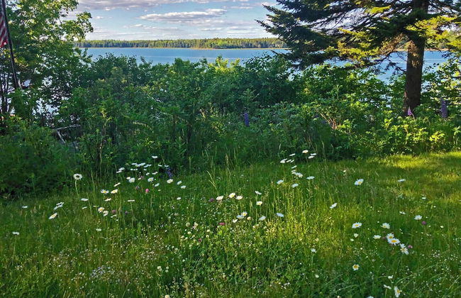 Puffin Rock - New 2022! - Photo 21