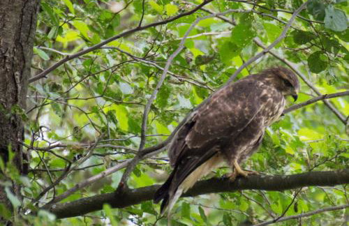 Miła Dolina - Foto 65