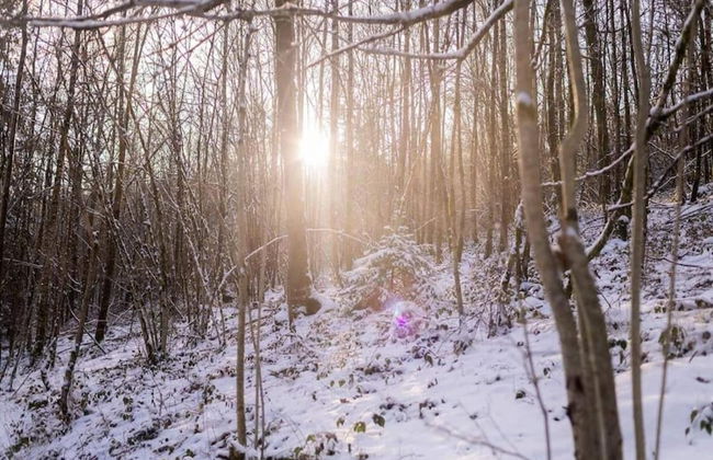 Holiday Home in Membre With Garden - Foto 39