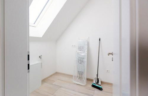 Weserrobbe - Foto 29