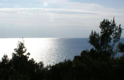 Apartmani Zaninović - Foto 15