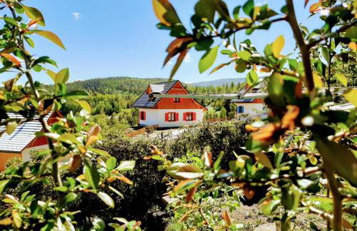 Kolorowe Karkonosze - Foto 46