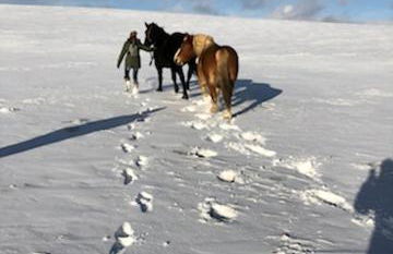 Gîte Frimousse les elfes - Foto 31