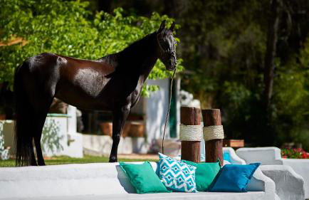 Cortijo De Ramón - Foto 9