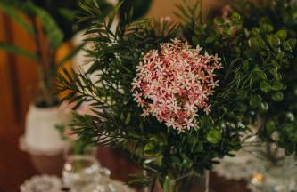 Dreamhill Meloni - Foto 58