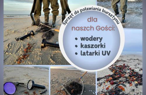 WILLA MAGNOLIA - Apartamenty i Pokoje SPRZĘT DO POŁAWIANIA BURSZTYNU -wodery, podbieraki, latarki UV - POKÓJ ZABAW- ROWERY - KAWA Z EKSPRESU - Foto 2