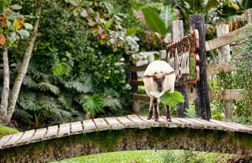 Fazzenda Park Resort - Foto 43