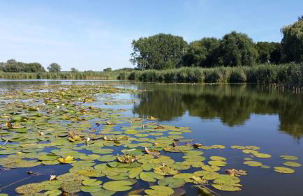 Hausboot-schwimmendes-Ferienhaus-im-Havelbogen-Haus-auf-dem-Wasser - Foto 10