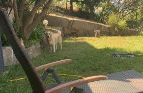 Paraiso Relax no Douro - Foto 70