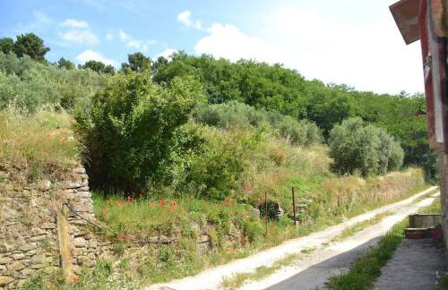 Il Rustico Vicopisano - Foto 42