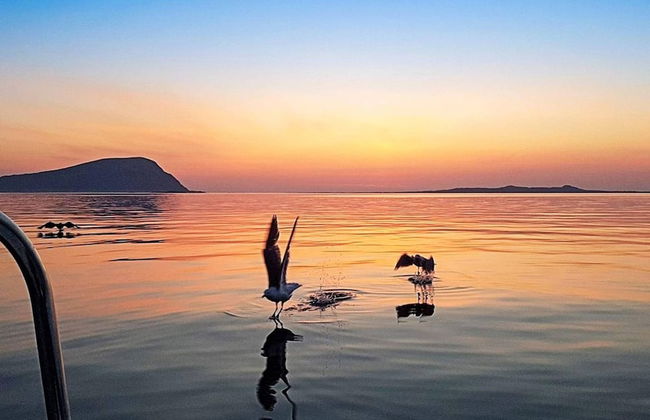 4 Person Holiday Home in Brattvag - Foto 16