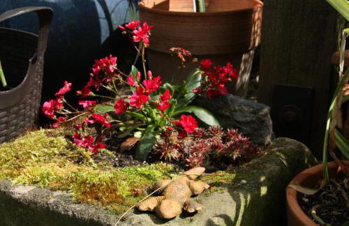 Ferienwohnungen-In-Bacharach - Foto 9