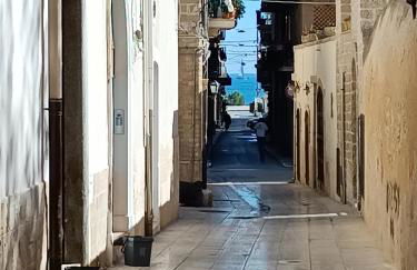 Pascasio17 - Foto 20