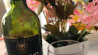 Apto da Karla em Canela 4 pessoas - Foto 3