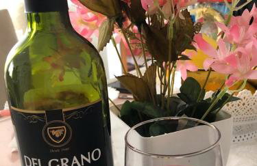 Apto da Karla em Canela 4 pessoas - Foto 3