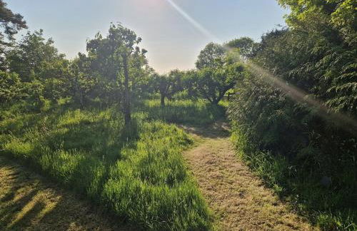 Grand Elegant Georgian Villa Wye Valley National Park - Foto 129