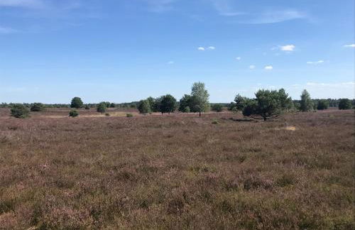 Ferienwohnung Calluna - Foto 7