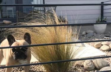 Ocean Drive BOUTIQUE Apartment Adults only Dog friendly - Foto 11