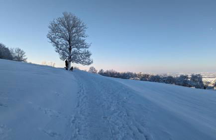 Tourenblick - Ferienwohnung an den drei Kaiserbergen - Foto 31