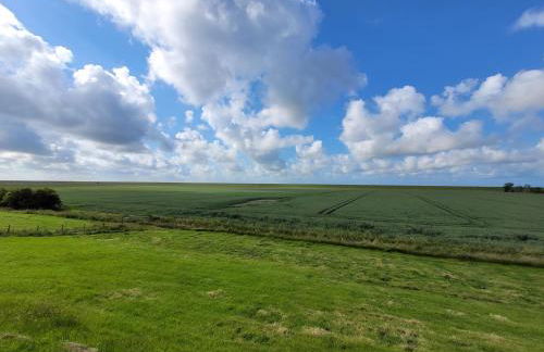 Fewo am Yachthafen - Foto 17