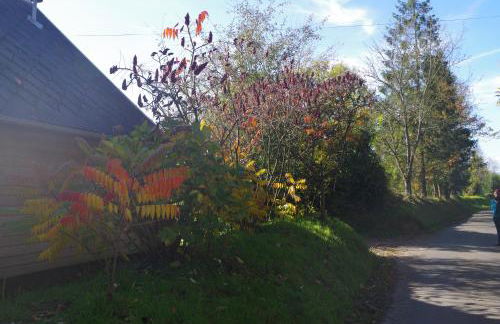 Ndila Cottage piscine privée - Foto 62