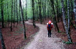 Casa Batit - Foto 23