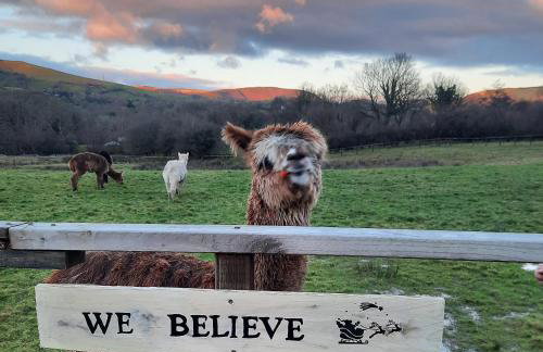 Alpaca cabin-mountain view-hot tub-rural retreat - Foto 26