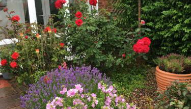 Rose Cottage, Newbiggin-by-the-Sea - Foto 2, Garden