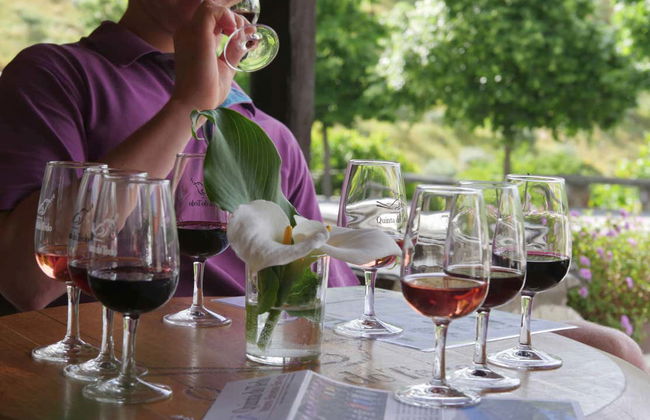 Visita à adega Quinta do Tedo - Foto 9