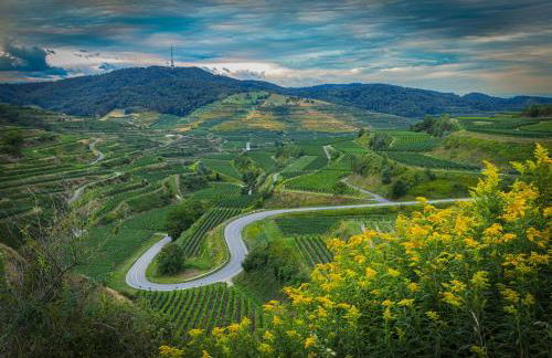 Ferienwohnung Solaris - Foto 28