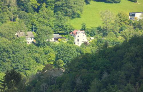 Apartment in Waldbreitbach mit Whirlpool by Interhome - Foto 22