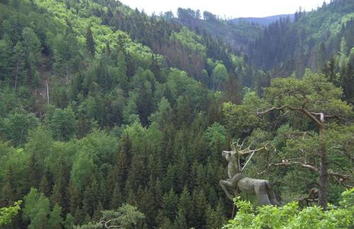 Ferienwohnung auf dem Dach des Frankenwaldes - Foto 21