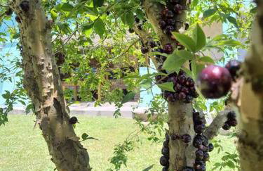 Chácara ( Dona Juju) super confortável em Igarata/SP! - Foto 17