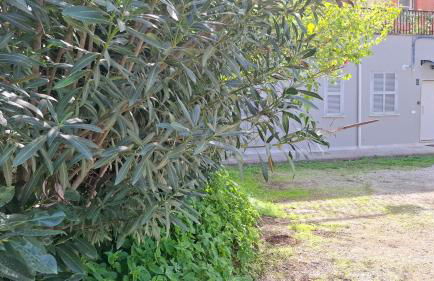 Altavilla Apartments Roma - Foto 24