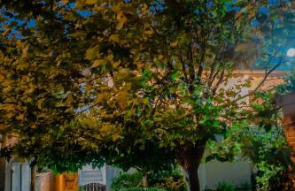 Helios Residence - Foto 22