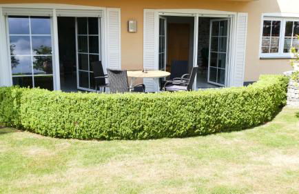 Ferienwohnung Eifelbergblick mit Garten, Schleiden, Wandern in the Eifel National Park, nähe Rursee - Foto 24