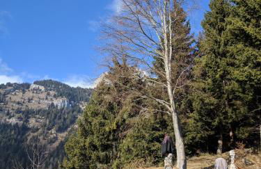 Dolomiti Relax - Foto 28