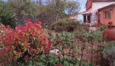 La Farigoule - Foto 3, Garden