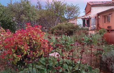 La Farigoule - Foto 3