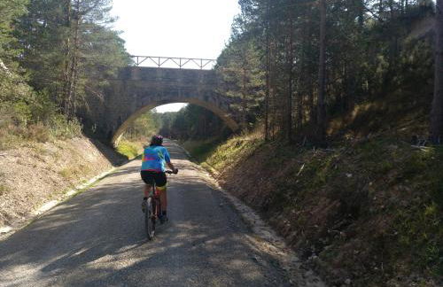 El nido del Mirlo - Foto 70