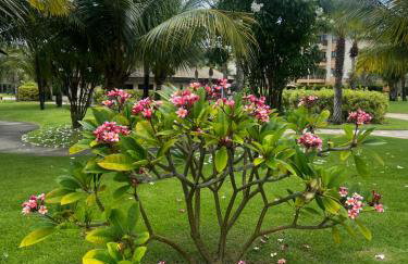 Paraíso - Foto 9