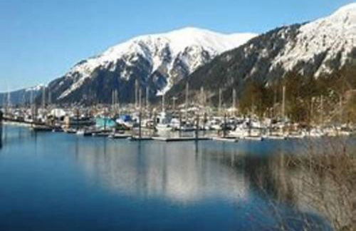 Douglas Island A-frame Cabin in the woods - Foto 28