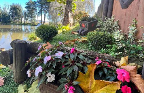 Chalé Alqualondë -Chácara Valfenda - Foto 23