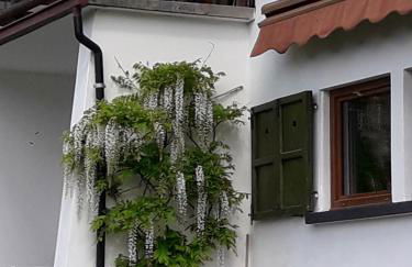 Villa Bianca Bormio garden and parking - Foto 24