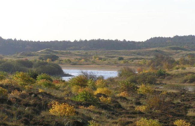 Peaceful Dune Retreat With Garden - Foto 30